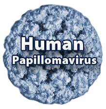 Papillomavirus dott La Bella Luigi PODOLOGO